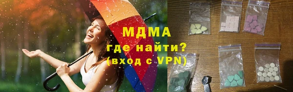 гашик Алексин