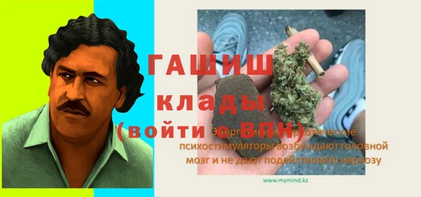гашик Алексин