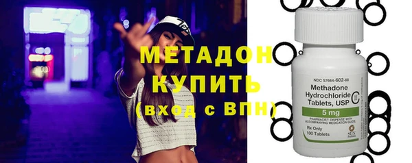 гашик Алексин