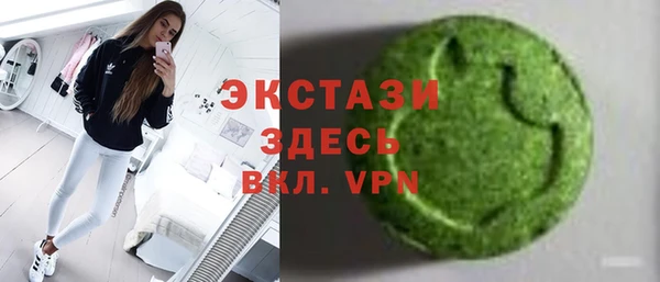 гашик Алексин