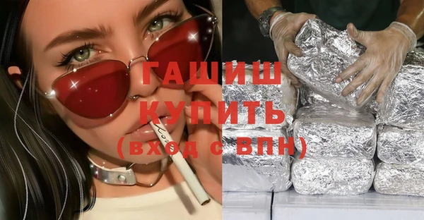 гашик Алексин