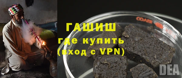 гашик Алексин