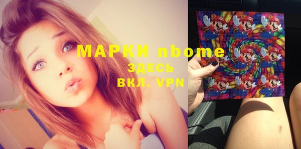 гашик Алексин