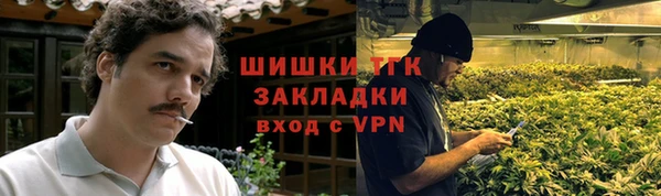 гашик Алексин