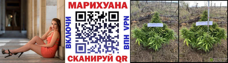 Бошки Шишки OG Kush Томмот